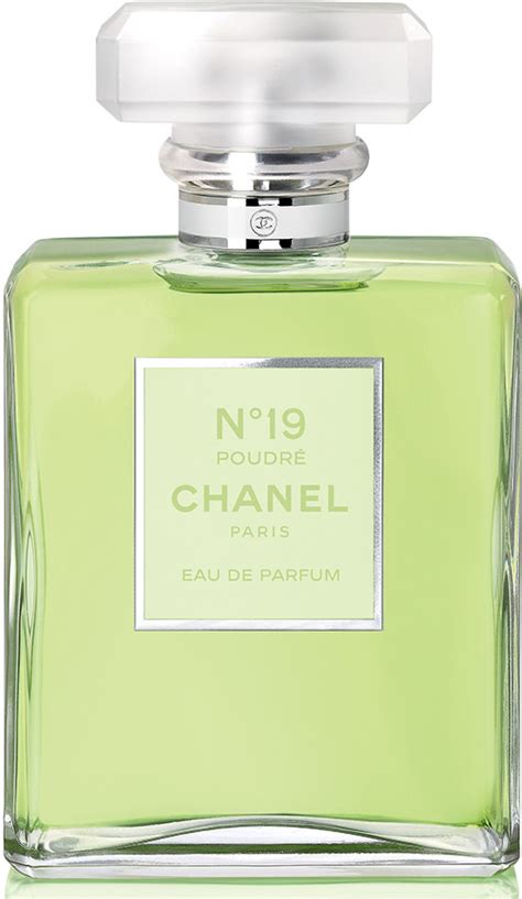 chanel no 19 tester|chanel 19 poude review.